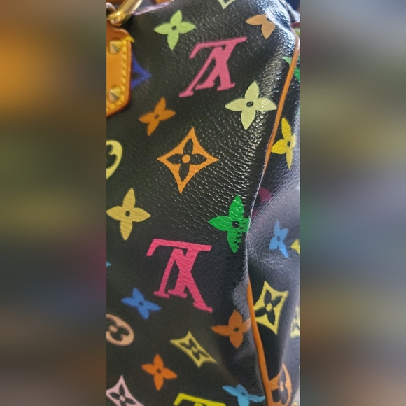 Louis Vuitton Multicolor Speedy - Picture 14 of 16